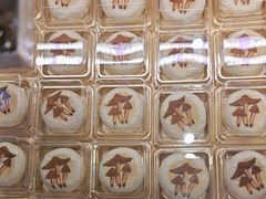 -昆明冠生园·蛋糕·面包(南强街店)