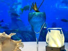 -亚特兰蒂斯•OSSIANO奥西亚诺海底餐厅