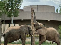 -鄂尔多斯野生动物园