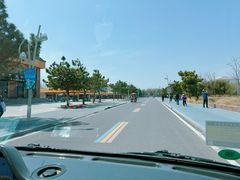-日照海滨国家森林公园