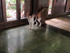 -龙达温泉生态城