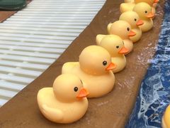 -环球中心海洋乐园
