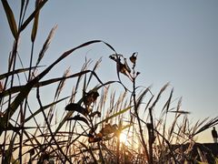 -萍乡武功山风景名胜区