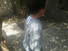 -上海市龙华烈士陵园