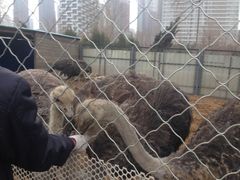 -长白岛森林公园