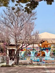 -玄武湖景区-情侣园游乐场