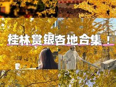 -桂林两江四湖景区