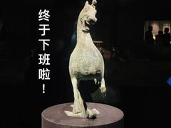 -甘肃省博物馆