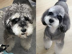 -FAELING PETS美天灵宠物(合生汇店)