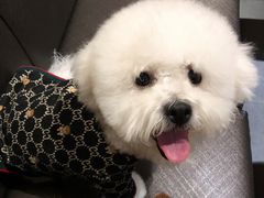 -渔寿司·日本料理(艾尚天地店)