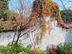 -乌山风景区