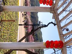 -苏州上方山国家森林公园