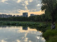 -艾溪湖湿地公园