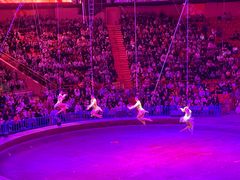 -俄罗斯国家大马戏团