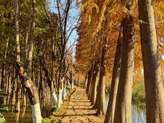 -捞渔河湿地公园