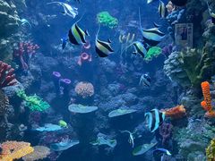 -海合安青岛极地海洋公园