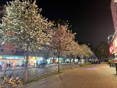 -郑远元·修脚·足道(华茂苑店)