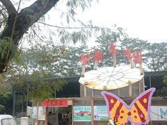 -松山湖南湖湾露营营地