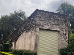 -中旅阿那亚九龙湖·公主酒店