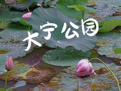 -大宁公园