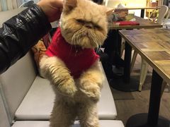 -小时光咖啡馆(开森度假森林店)