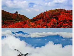 -大围山国家森林公园