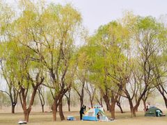-坝河休闲公园