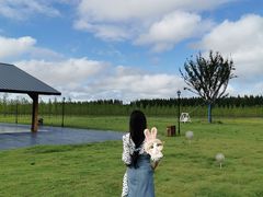 -黄海国家森林公园