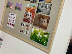 -柯达靓之彩影像网络(明瓦廊店)