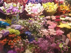 -花鸟鱼虫鲜花绿植市场(玉泉路店)