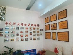 -香薇妮丝·定制减肥·身材管理