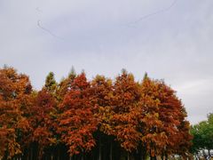 -厦门园林博览苑