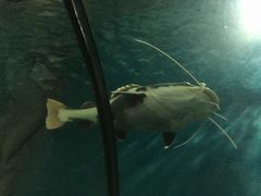 -苏州海洋馆
