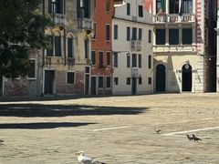 -圣马尔谷圣殿宗主教座堂