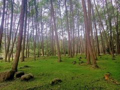 -硗碛藏寨·神木垒景区