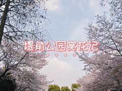 -堤角公园