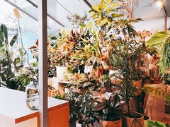 -Seesaw Coffee(深圳万象天地店)