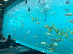 -瑞德姆美人鱼海底演艺主题餐厅(亚龙湾店)