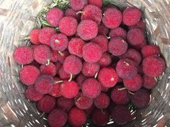 -太湖好灶头土菜馆(石公路店)