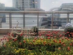 -SFC上影影城(港汇永华IMAX激光店)