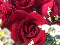 -洛柔芙(CBD万达店)