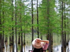 -白鹭湾湿地公园