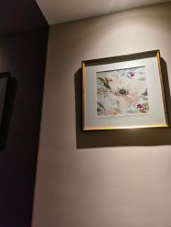 -露德瑪麗科技美肤·美迪迈·华熙生物