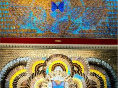 -上海昆虫博物馆