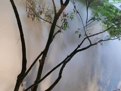 -花锦堂·隐庐