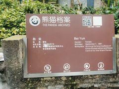 -都江堰中华大熊猫苑