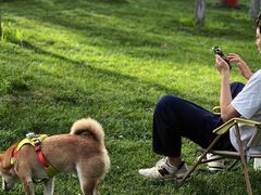 -爪吧宠物乐园 (温榆河示范区店)