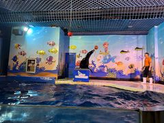 -太平洋海底世界