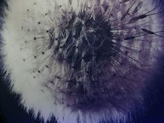 -麦克小熊时尚量贩KTV(神道口店)