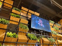 -小马哥烧烤(楚州店)